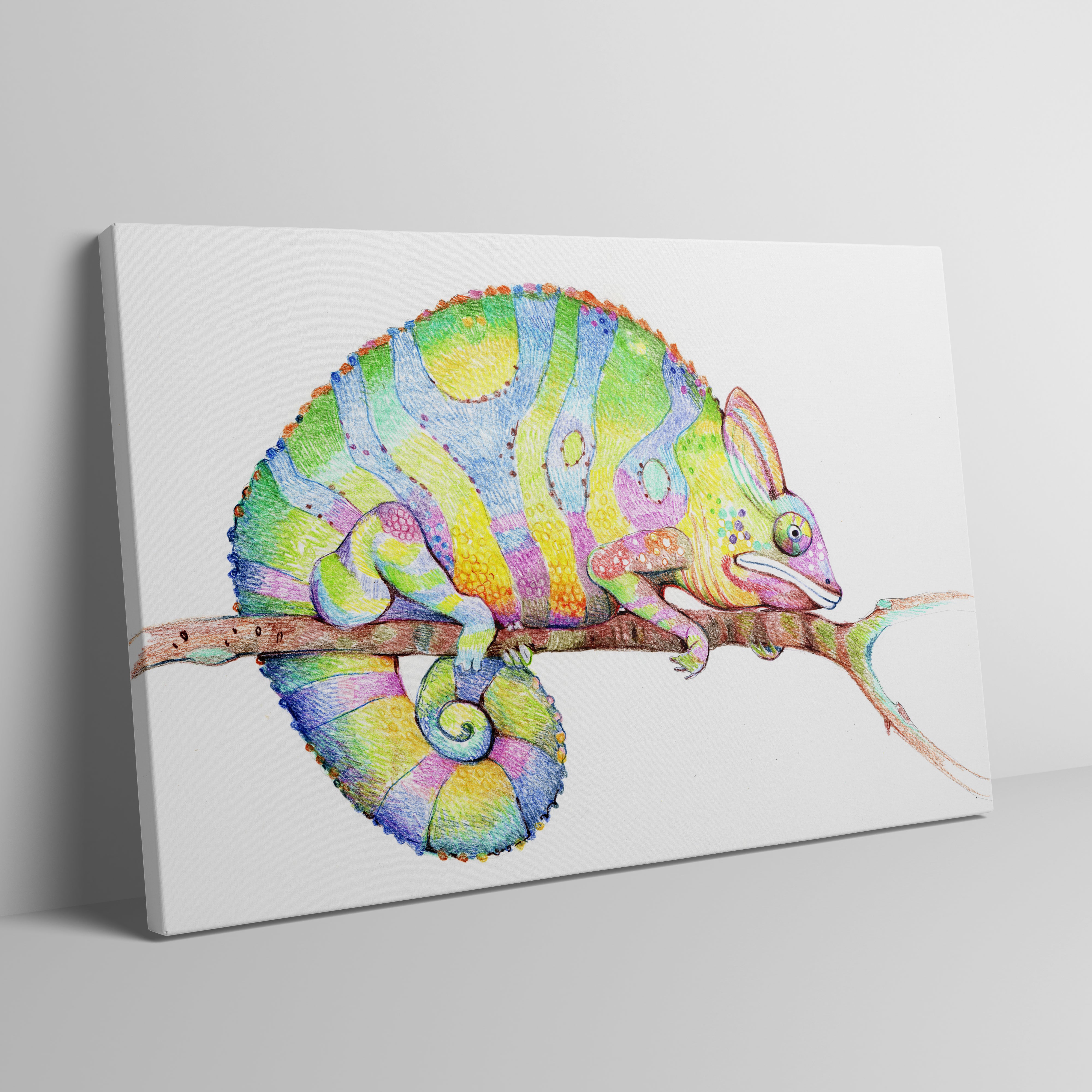 Foto plátno tisk - malování, barevný chameleon (Zvířata) \ t