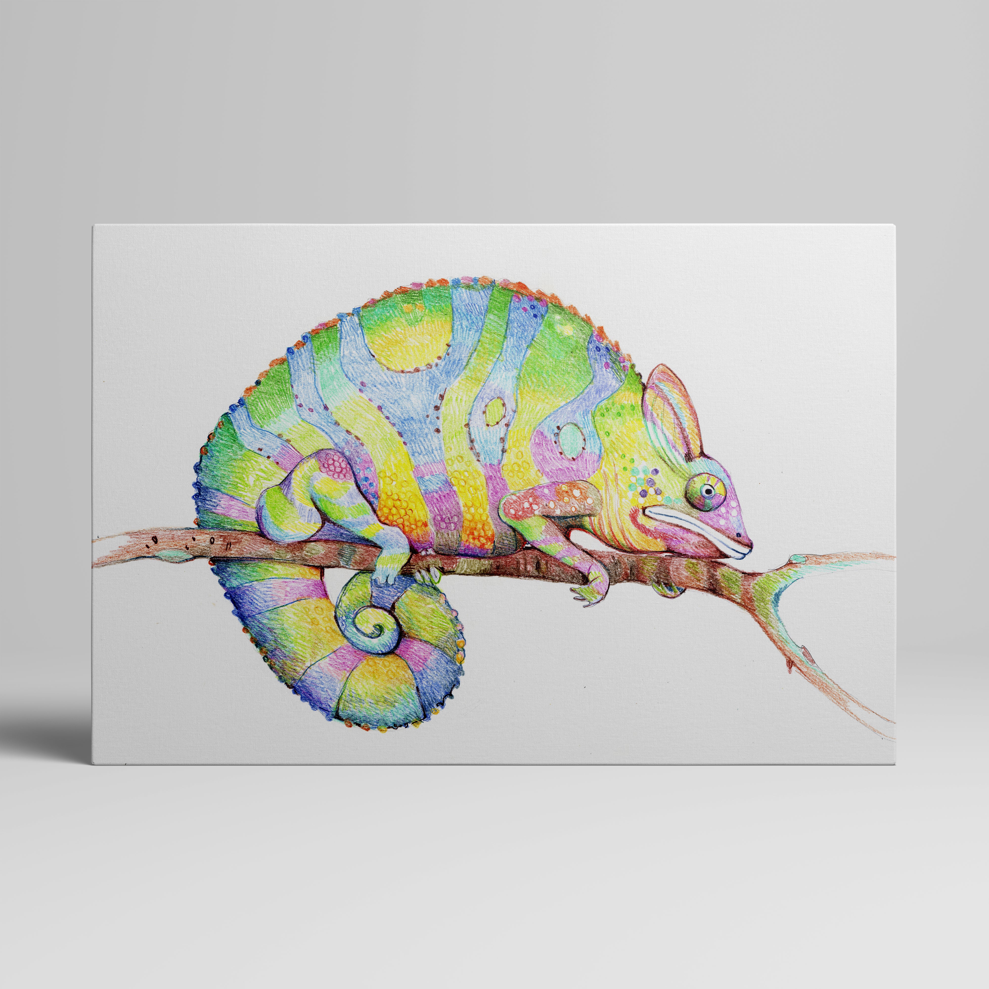 Foto plátno tisk - malování, barevný chameleon (Zvířata) \ t