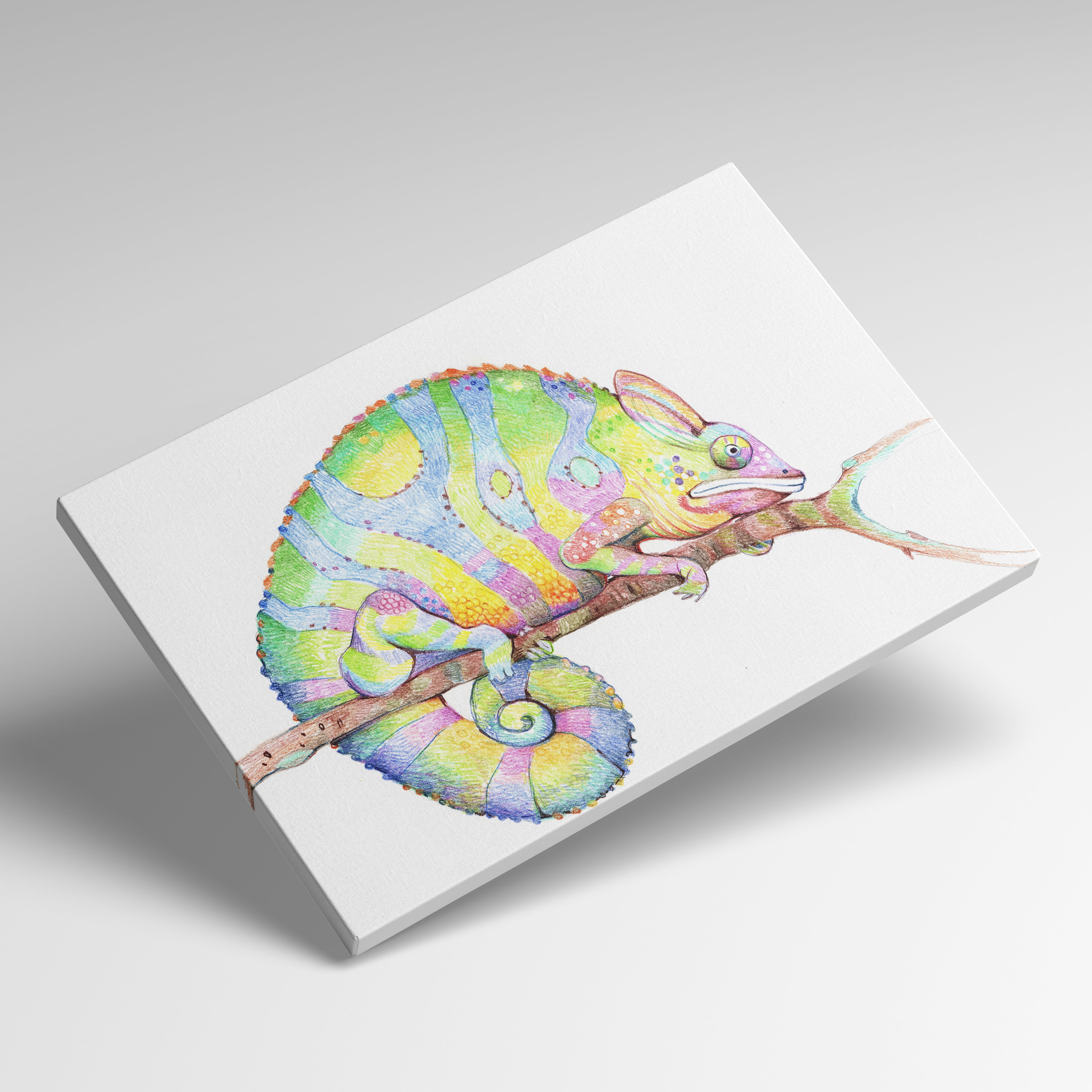 Foto obraz na płótnie - Malunek, kolorowy kameleon (zwierzęta)