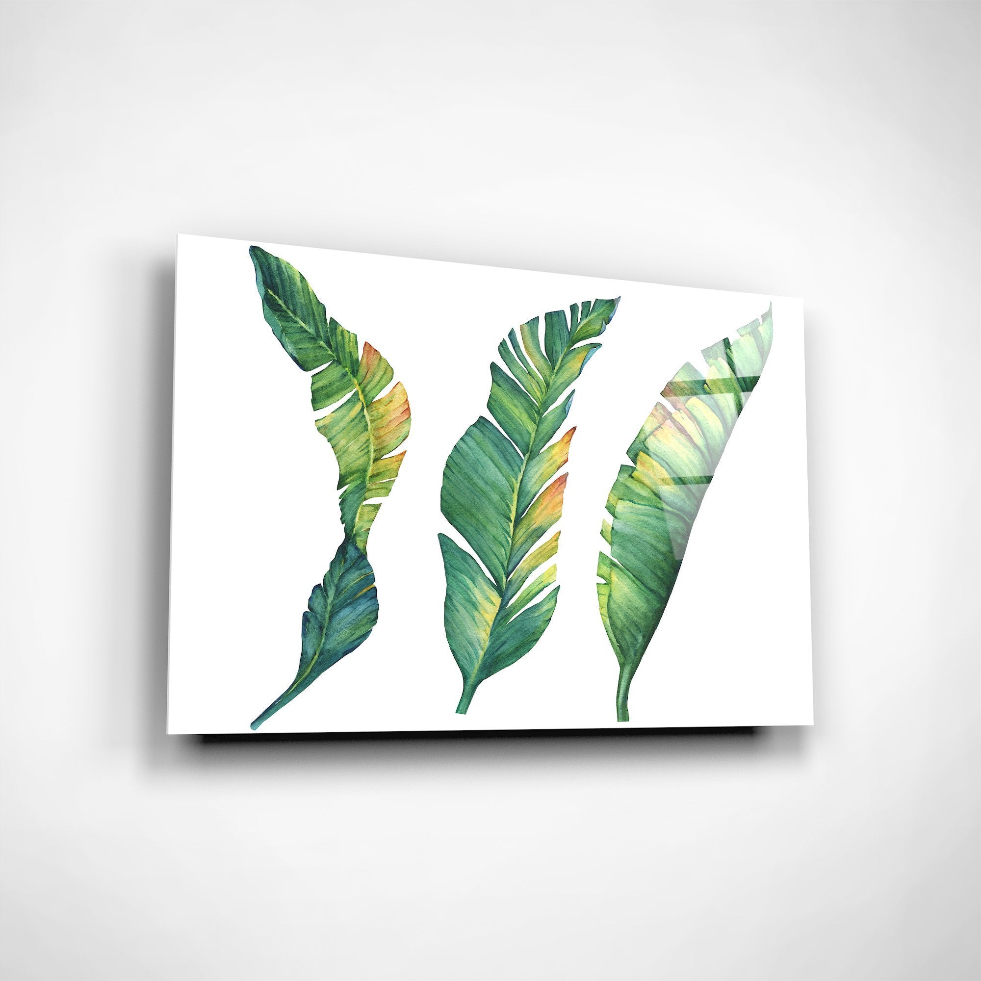 Foto obraz na szkle - Akwarela, minimalistyczne liście (zielony) - Gallart.pl