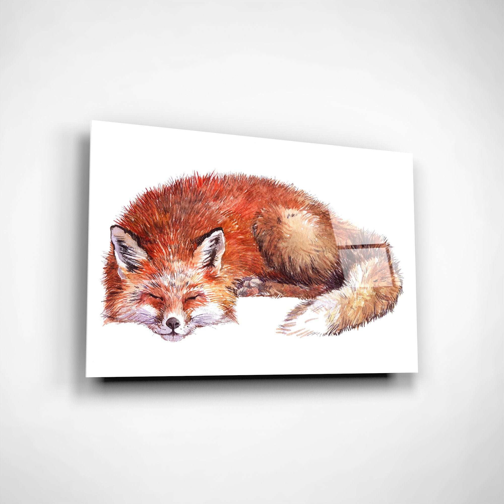 Foto obraz na szkle - Akwarela, śpiący lis (zwierzęta) - Gallart.pl