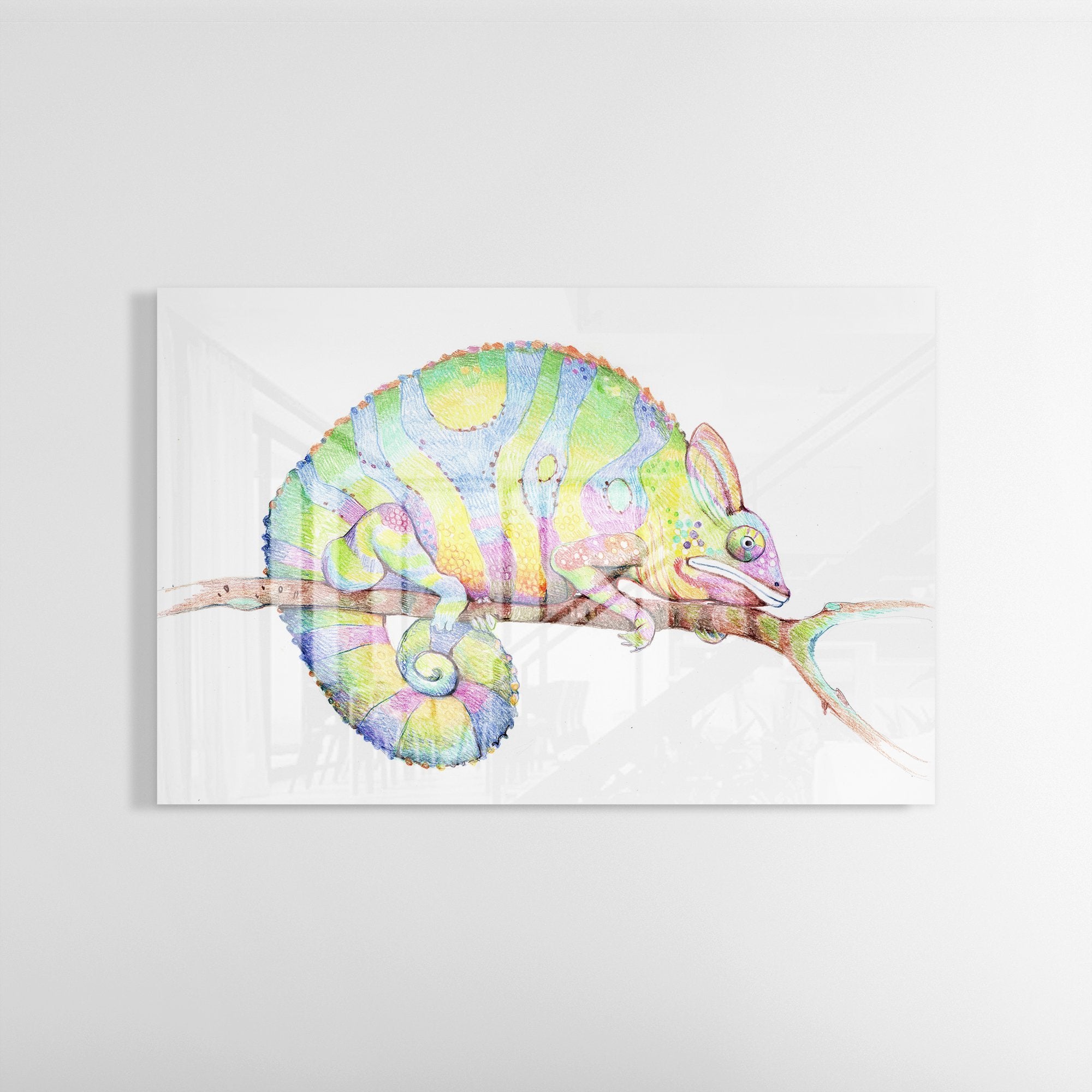 Foto obraz na szkle - Malunek, kolorowy kameleon (zwierzęta) - Gallart.pl