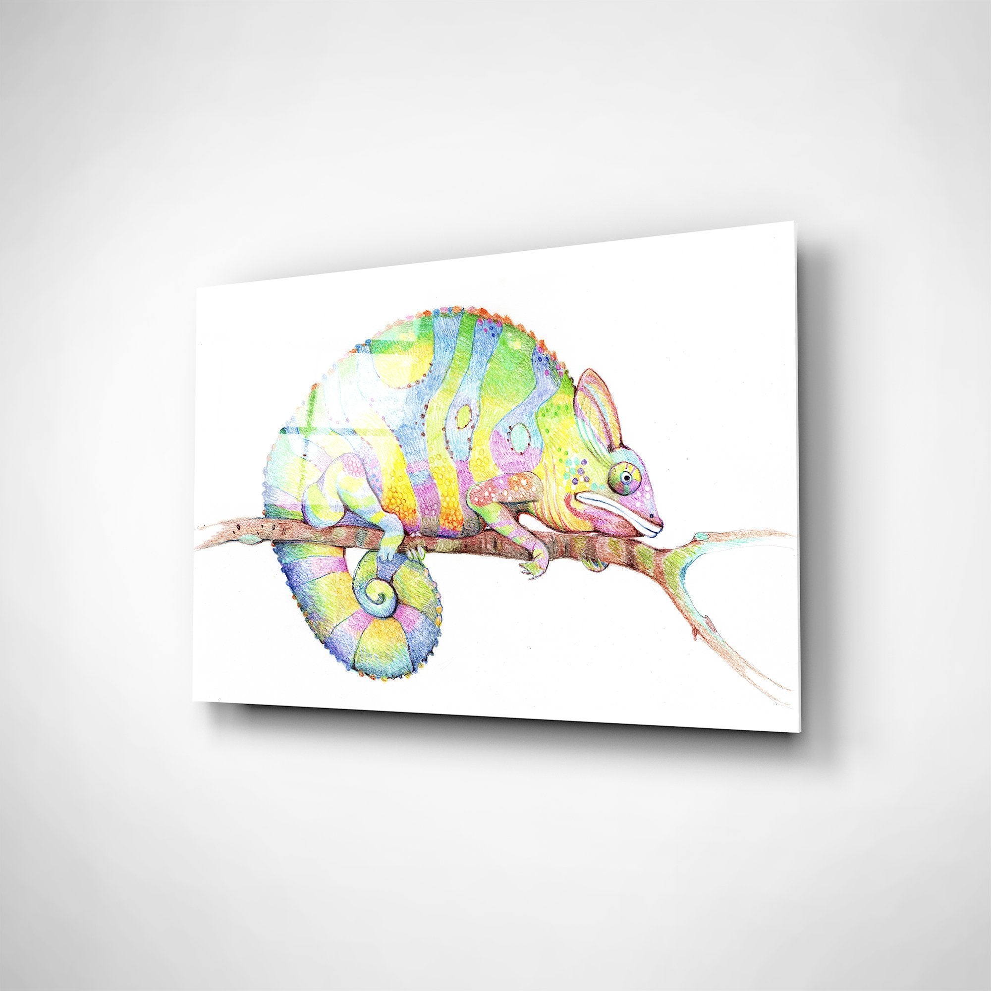Foto obraz na szkle - Malunek, kolorowy kameleon (zwierzęta) - Gallart.pl