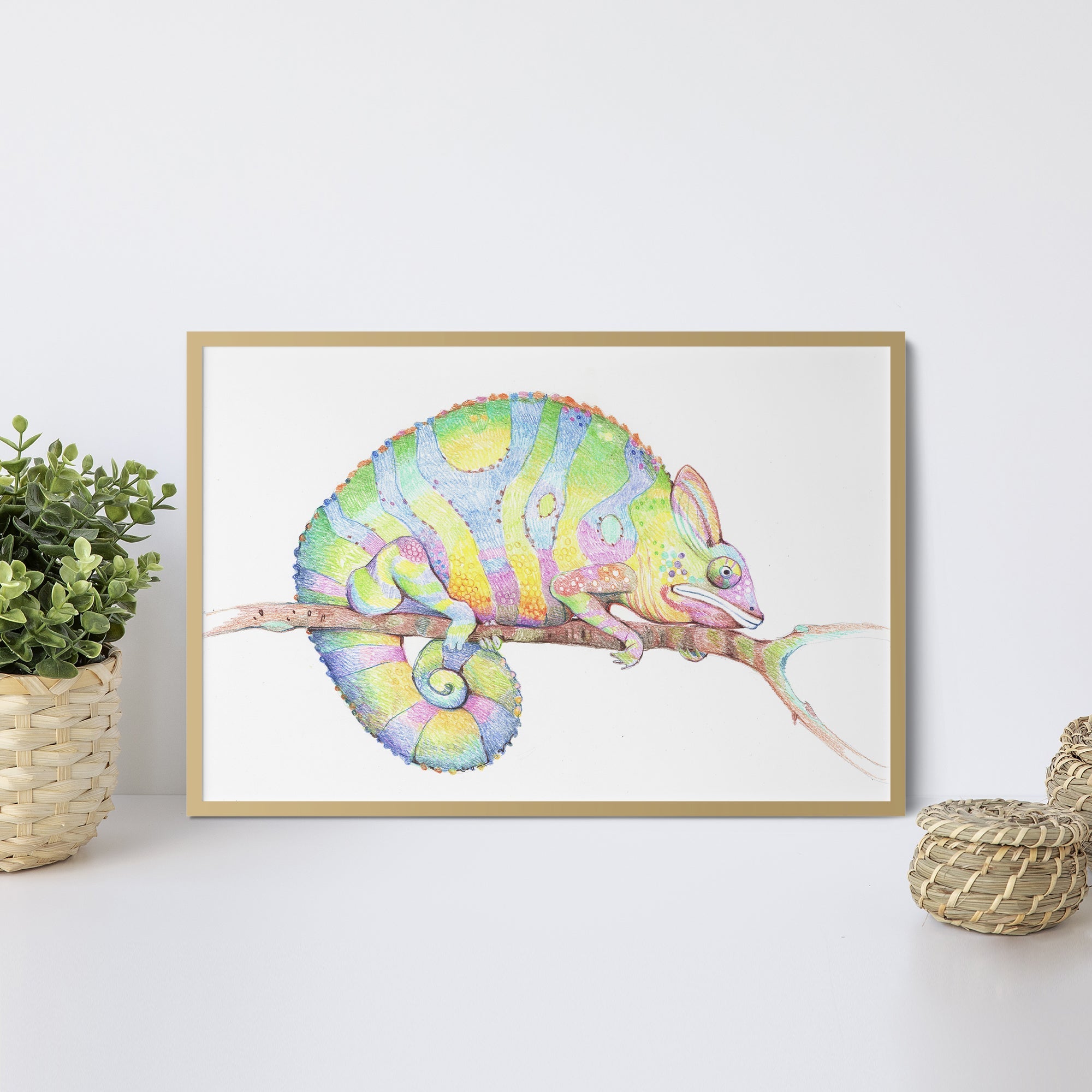 Foto obraz w ramie - Malunek, kolorowy kameleon (zwierzęta) - Gallart.pl